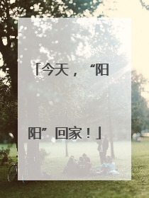 今天，“阳阳”回家！