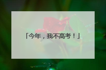 今年，我不高考！