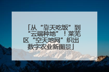 从“靠天吃饭”到“云端种地”！莱芜区“空天地网”织出数字农业新图景