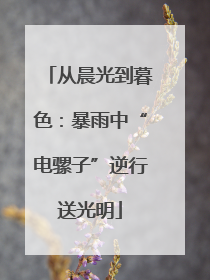 从晨光到暮色：暴雨中“电骡子”逆行送光明
