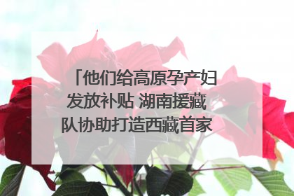 他们给高原孕产妇发放补贴 湖南援藏队协助打造西藏首家高原产儿协同中心