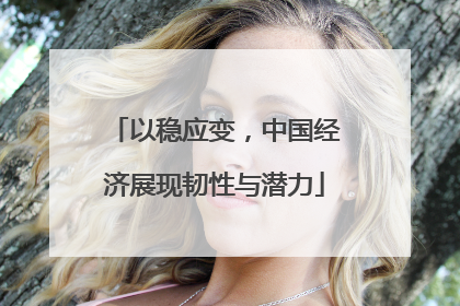 以稳应变，中国经济展现韧性与潜力