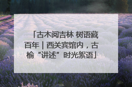 古木阅吉林 树语藏百年｜西关宾馆内，古榆“讲述”时光絮语