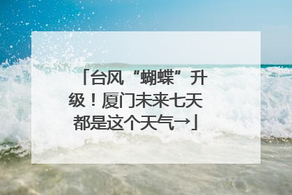 台风“蝴蝶”升级！厦门未来七天都是这个天气→