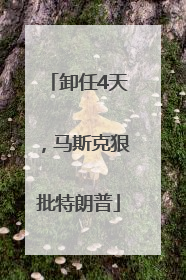 卸任4天，马斯克狠批特朗普