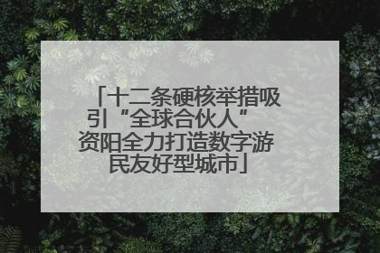 十二条硬核举措吸引“全球合伙人” 资阳全力打造数字游民友好型城市