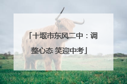 十堰市东风二中：调整心态 笑迎中考