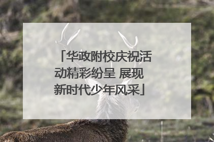 华政附校庆祝活动精彩纷呈 展现新时代少年风采