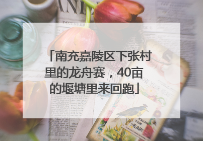 南充嘉陵区下张村里的龙舟赛，40亩的堰塘里来回跑