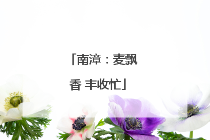 南漳：麦飘香 丰收忙