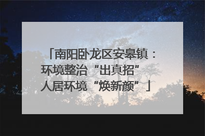 南阳卧龙区安皋镇：环境整治“出真招” 人居环境“焕新颜”