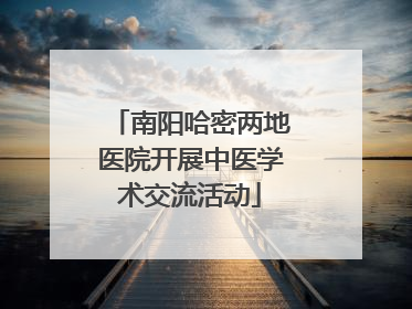 南阳哈密两地医院开展中医学术交流活动