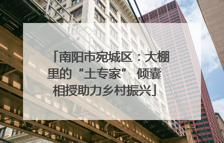 南阳市宛城区：大棚里的“土专家” 倾囊相授助力乡村振兴