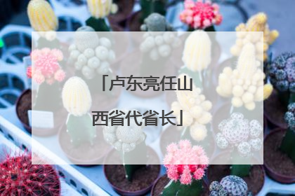 卢东亮任山西省代省长