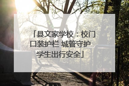 县文家学校：校门口装护栏 城管守护学生出行安全