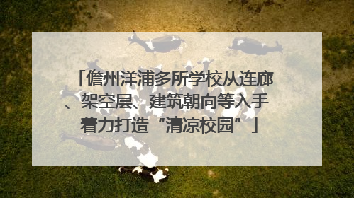 儋州洋浦多所学校从连廊、架空层、建筑朝向等入手 着力打造“清凉校园”
