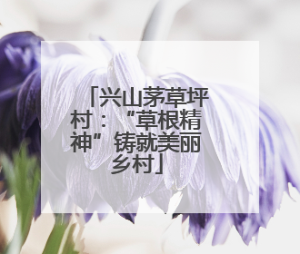 兴山茅草坪村：“草根精神”铸就美丽乡村