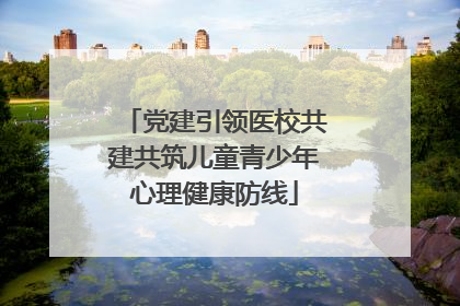 党建引领医校共建共筑儿童青少年心理健康防线
