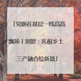 党旗在基层一线高高飘扬丨刘影：扎根乡土 三产融合绘新景