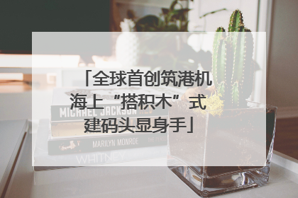 全球首创筑港机海上“搭积木”式建码头显身手