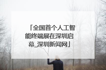 全国首个人工智能终端展在深圳启幕_深圳新闻网