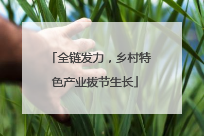 全链发力，乡村特色产业拔节生长