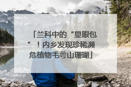 兰科中的“显眼包”！内乡发现珍稀濒危植物毛萼山珊瑚