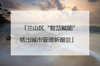 兰山区“智慧赋能”绣出城市管理新图景