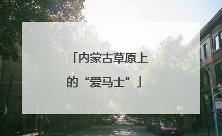 内蒙古草原上的“爱马士”