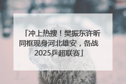冲上热搜！樊振东许昕同框现身河北雄安，备战2025乒超联赛