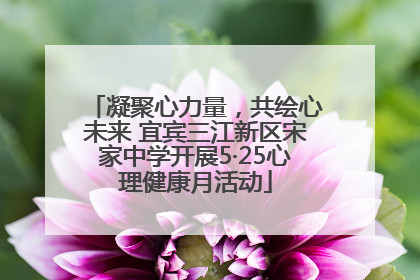 凝聚心力量，共绘心未来 宜宾三江新区宋家中学开展5·25心理健康月活动