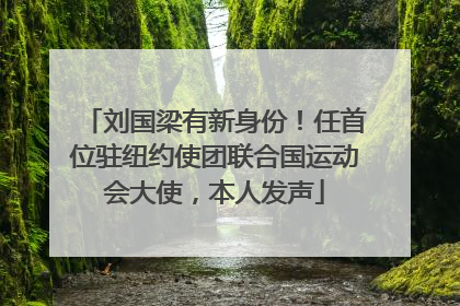 刘国梁有新身份！任首位驻纽约使团联合国运动会大使，本人发声