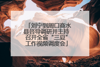 刘宁到周口商水县督导调研并主持召开全省“三夏”工作视频调度会
