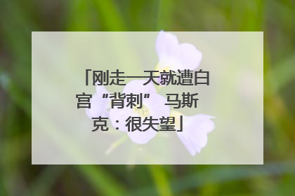 刚走一天就遭白宫“背刺” 马斯克：很失望