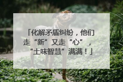 化解矛盾纠纷，他们走“新”又走“心”，“土味智慧”满满！