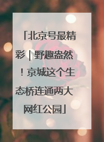 北京号最精彩｜野趣盎然！京城这个生态桥连通两大网红公园