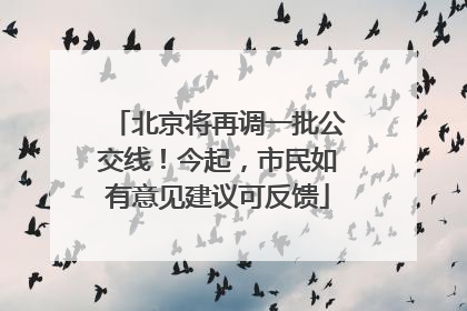 北京将再调一批公交线！今起，市民如有意见建议可反馈
