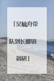 吴毓舟带队到长卿镇调研