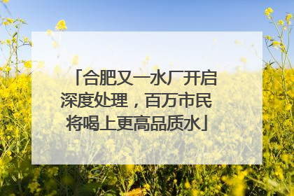 合肥又一水厂开启深度处理，百万市民将喝上更高品质水