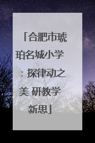 合肥市琥珀名城小学：探律动之美 研教学新思