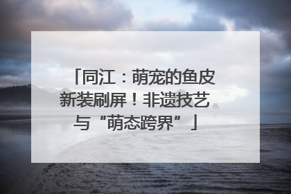 同江：萌宠的鱼皮新装刷屏！非遗技艺与“萌态跨界”