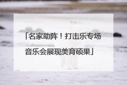 名家助阵！打击乐专场音乐会展现美育硕果