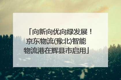 向新向优向绿发展！京东物流(豫北)智能物流港在辉县市启用