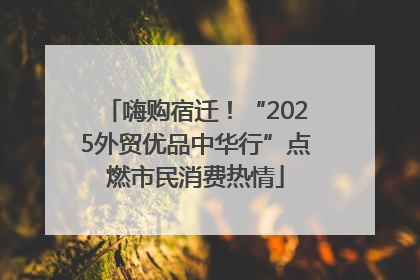 嗨购宿迁！“2025外贸优品中华行”点燃市民消费热情