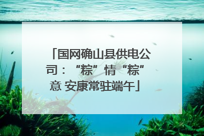 国网确山县供电公司：“粽”情“粽”意 安康常驻端午