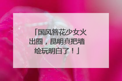 国风簪花少女火出圈，昆明真把墙绘玩明白了！