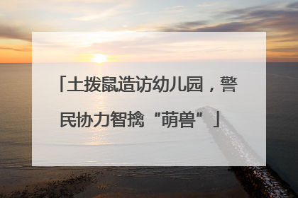 土拨鼠造访幼儿园，警民协力智擒“萌兽”