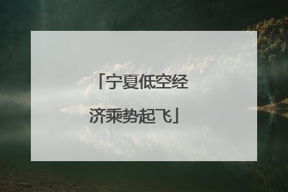 宁夏低空经济乘势起飞