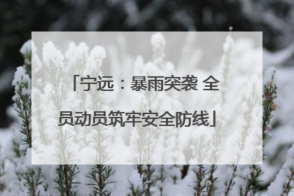 宁远：暴雨突袭 全员动员筑牢安全防线