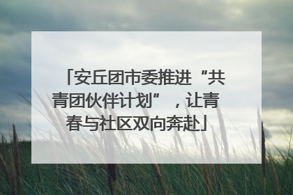 安丘团市委推进“共青团伙伴计划”，让青春与社区双向奔赴